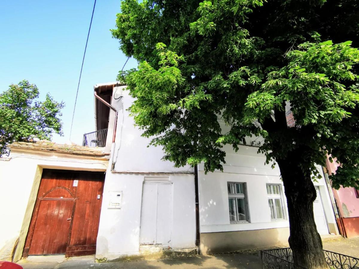 Studio Сібіу Екстер'єр фото